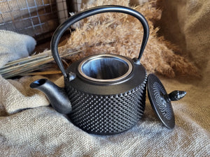NEW 800ml Cast Iron Tea Pot