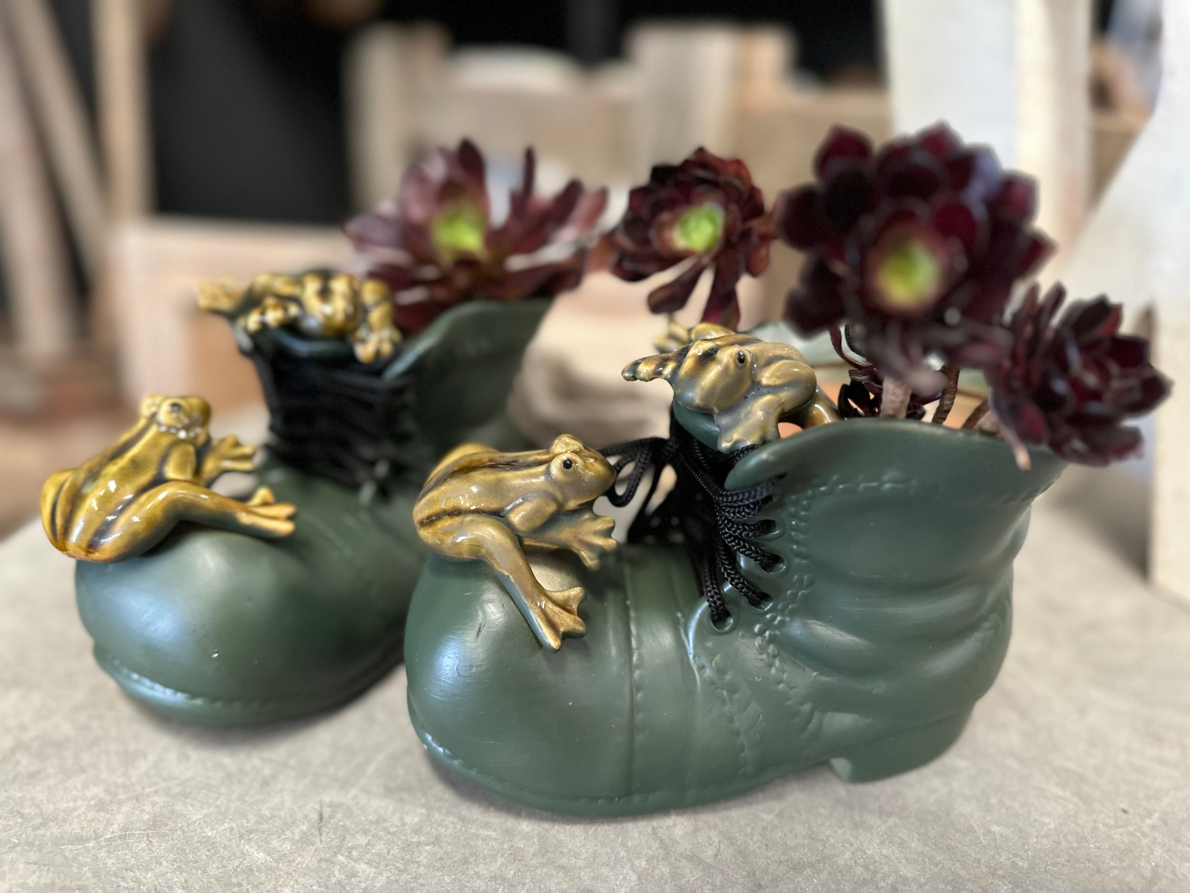 The FROG SHOE Planter