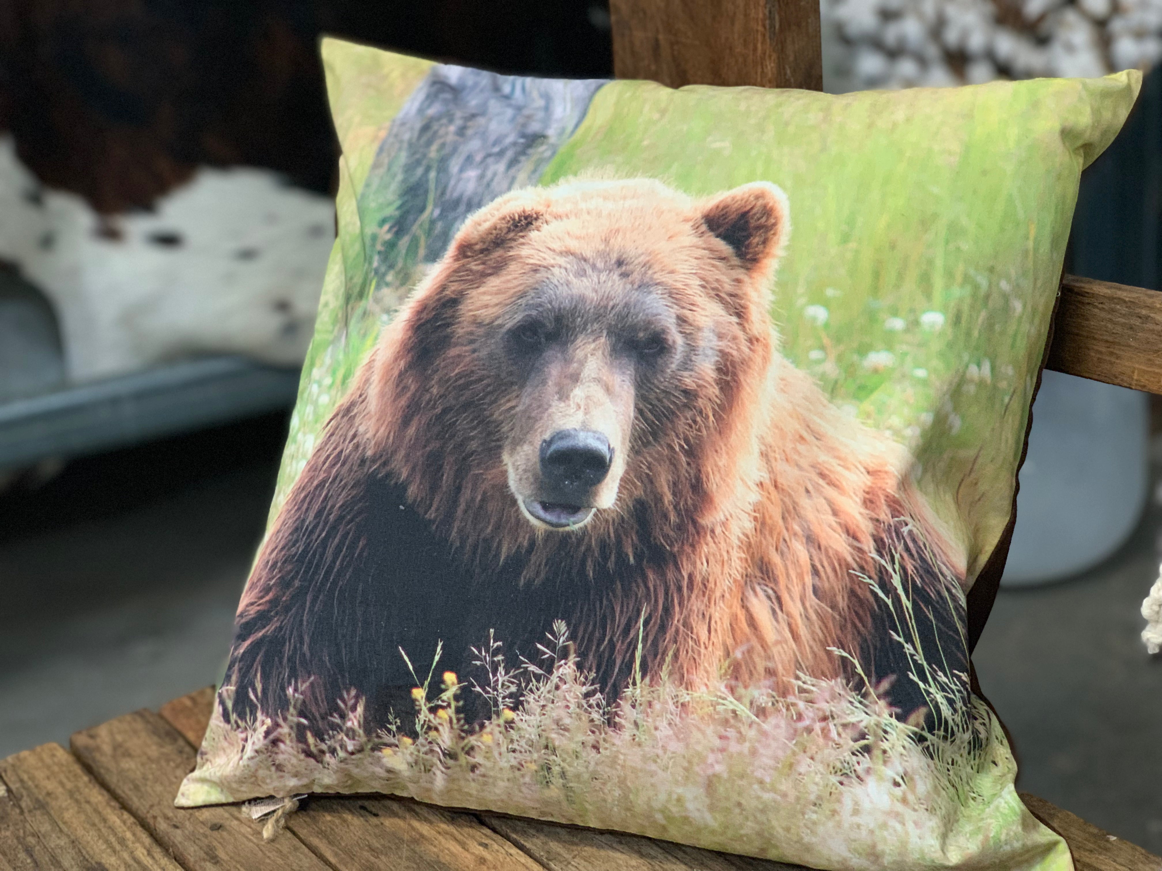 GRIZZLY BEAR Cushion