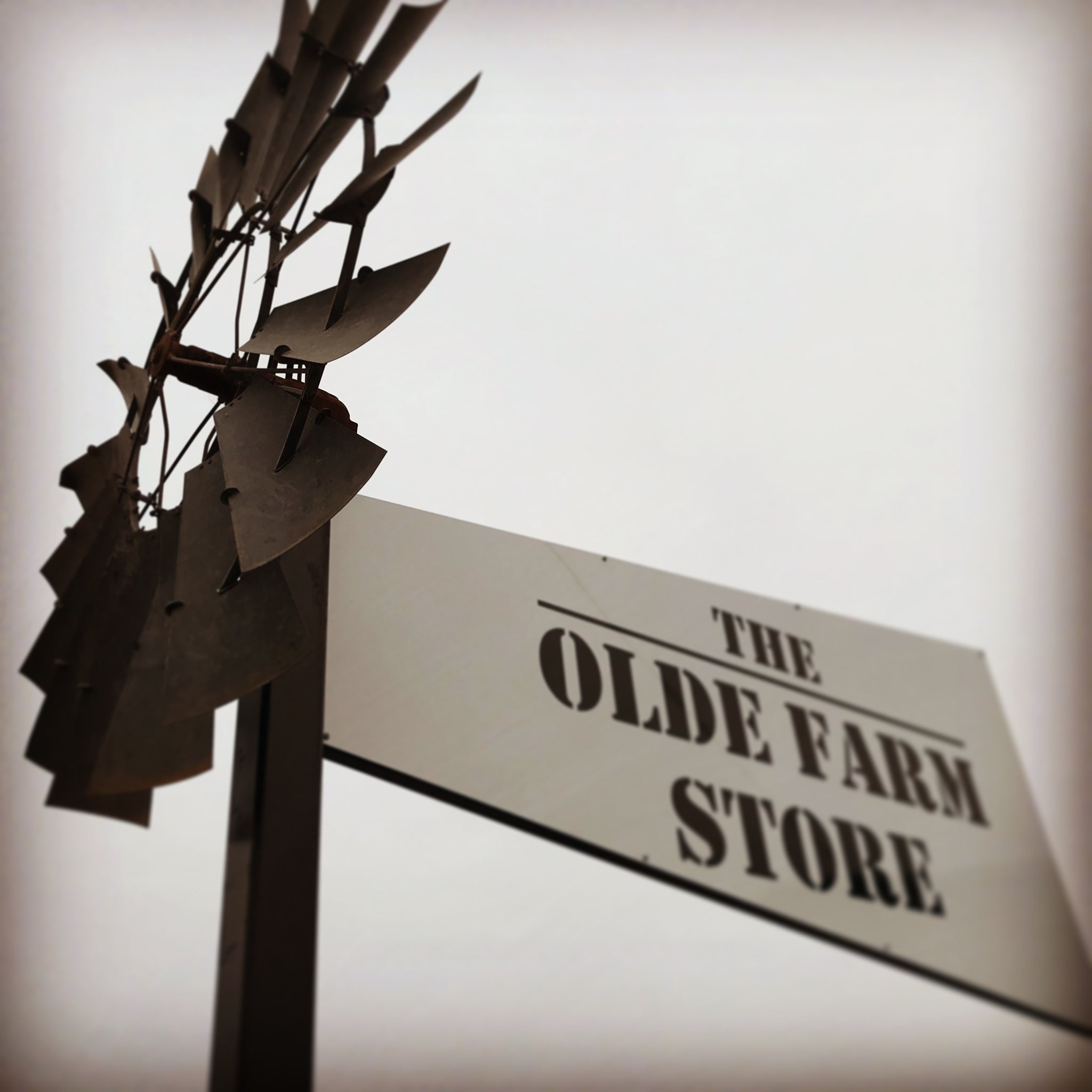 LOOK for our NEW SIGN
