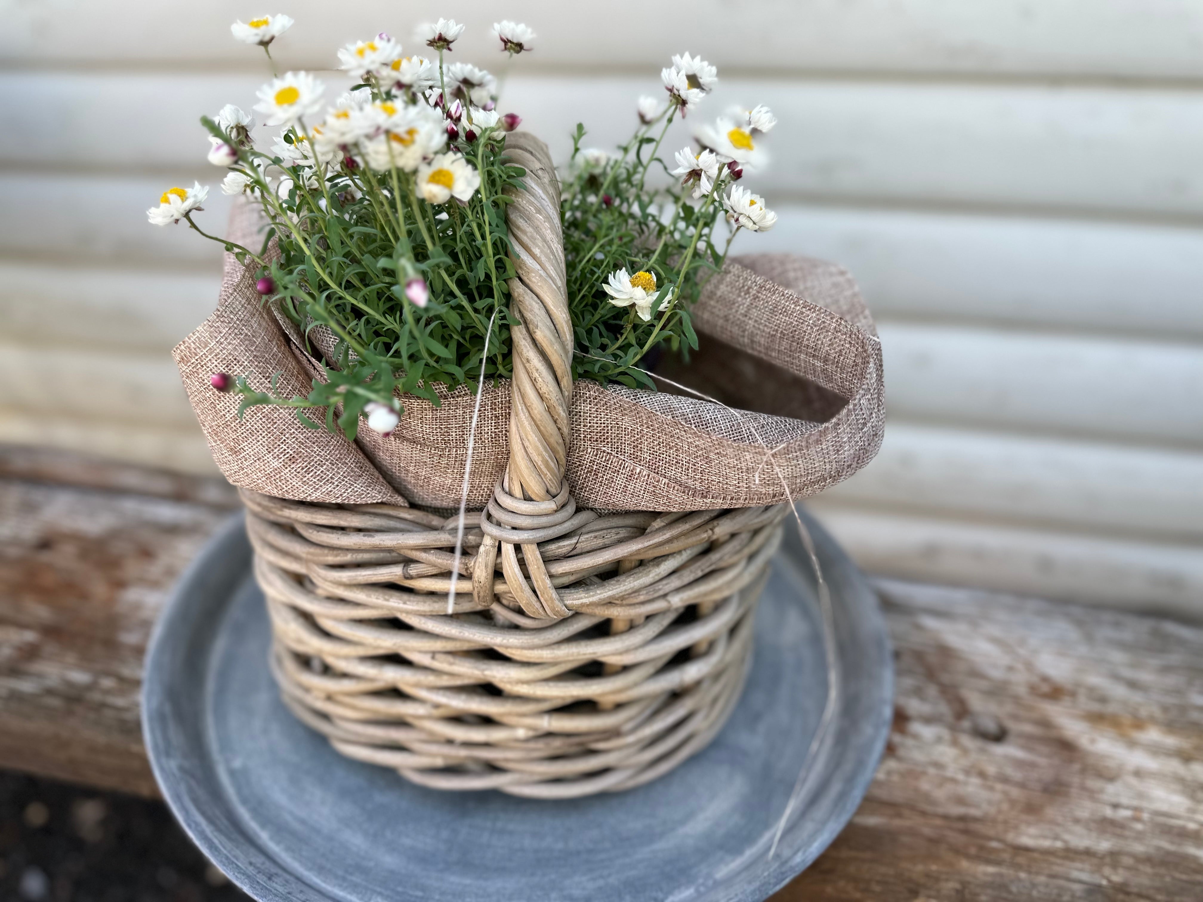 PEGGY Oval Basket