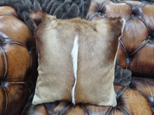 XL Springbok Cushion FULL Panel