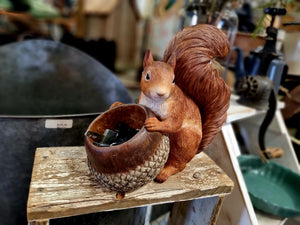 SCOUT Squirrel & Acorn bowl