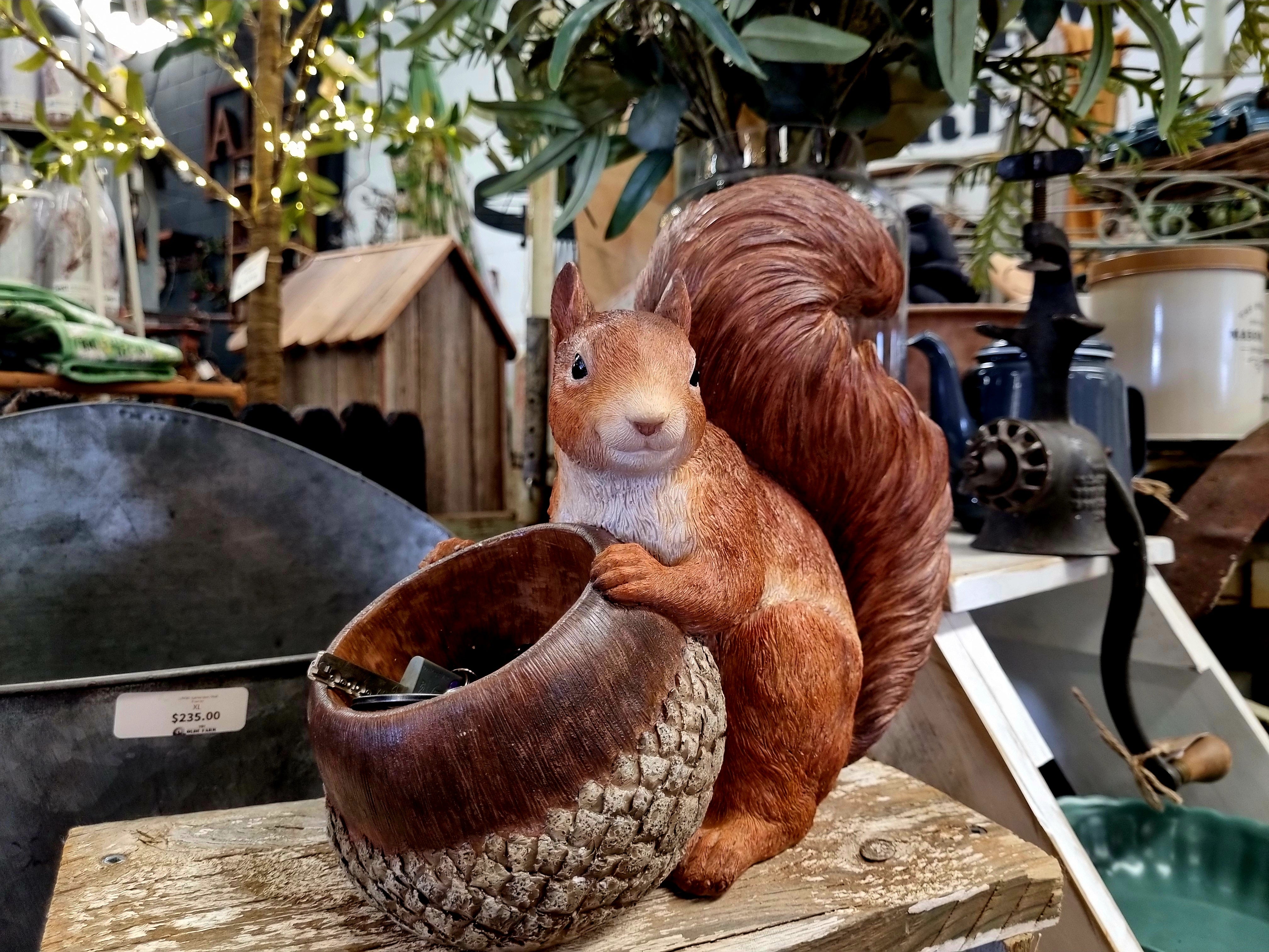 SCOUT Squirrel & Acorn bowl