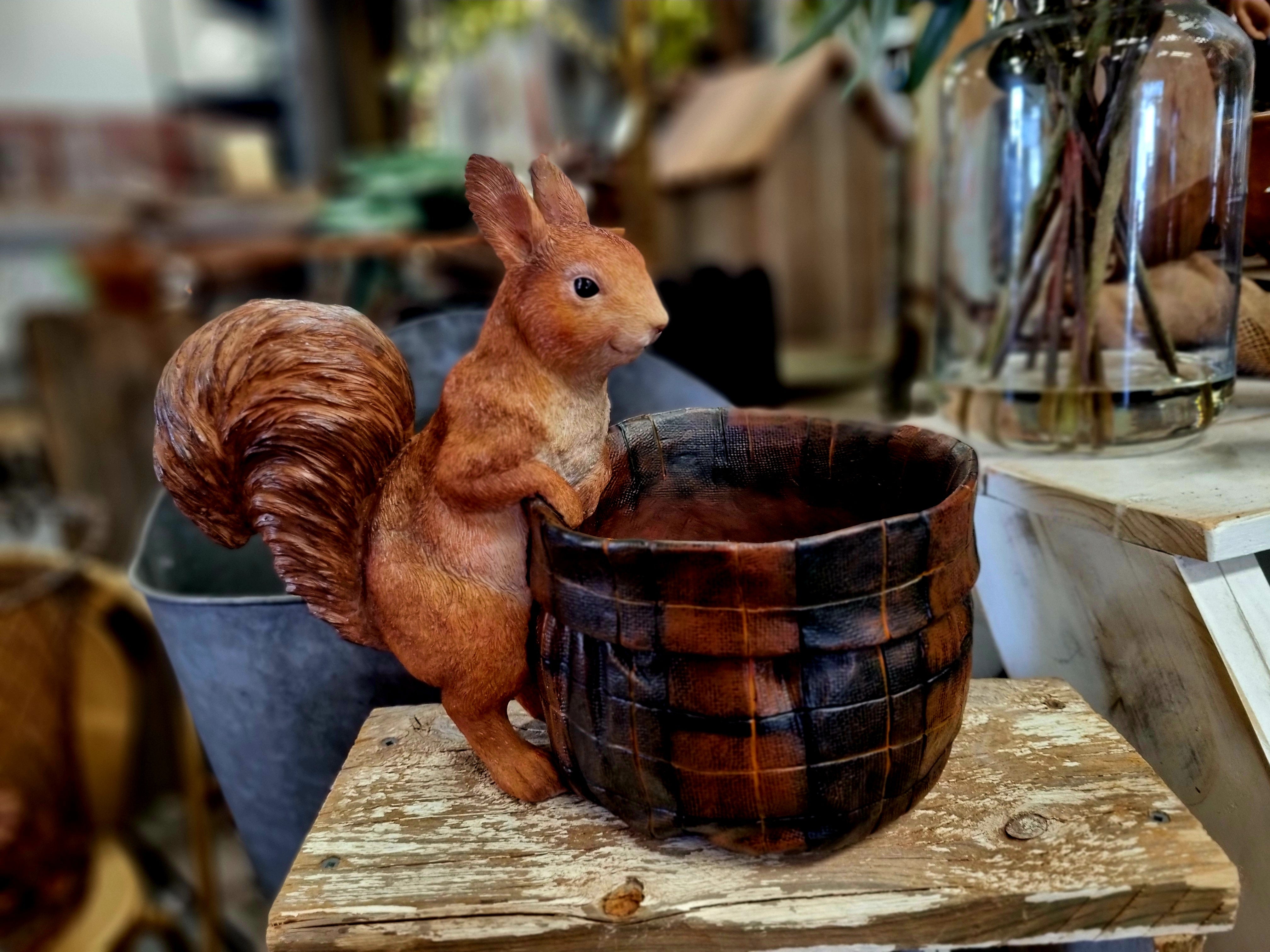SQUEAK Squirrel & Barrell bowl/Planter