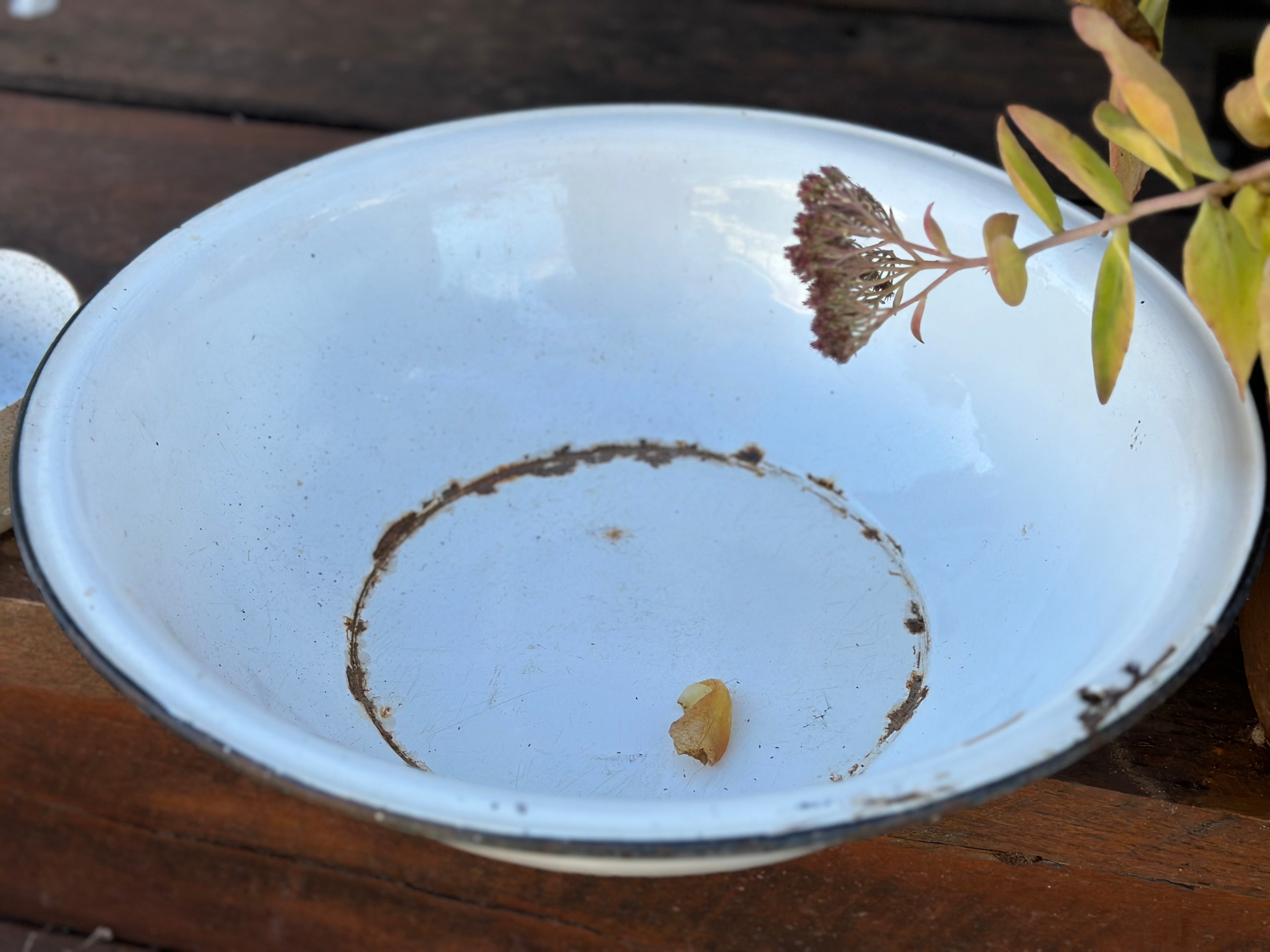 Vintage Enamel Wash Basin XL