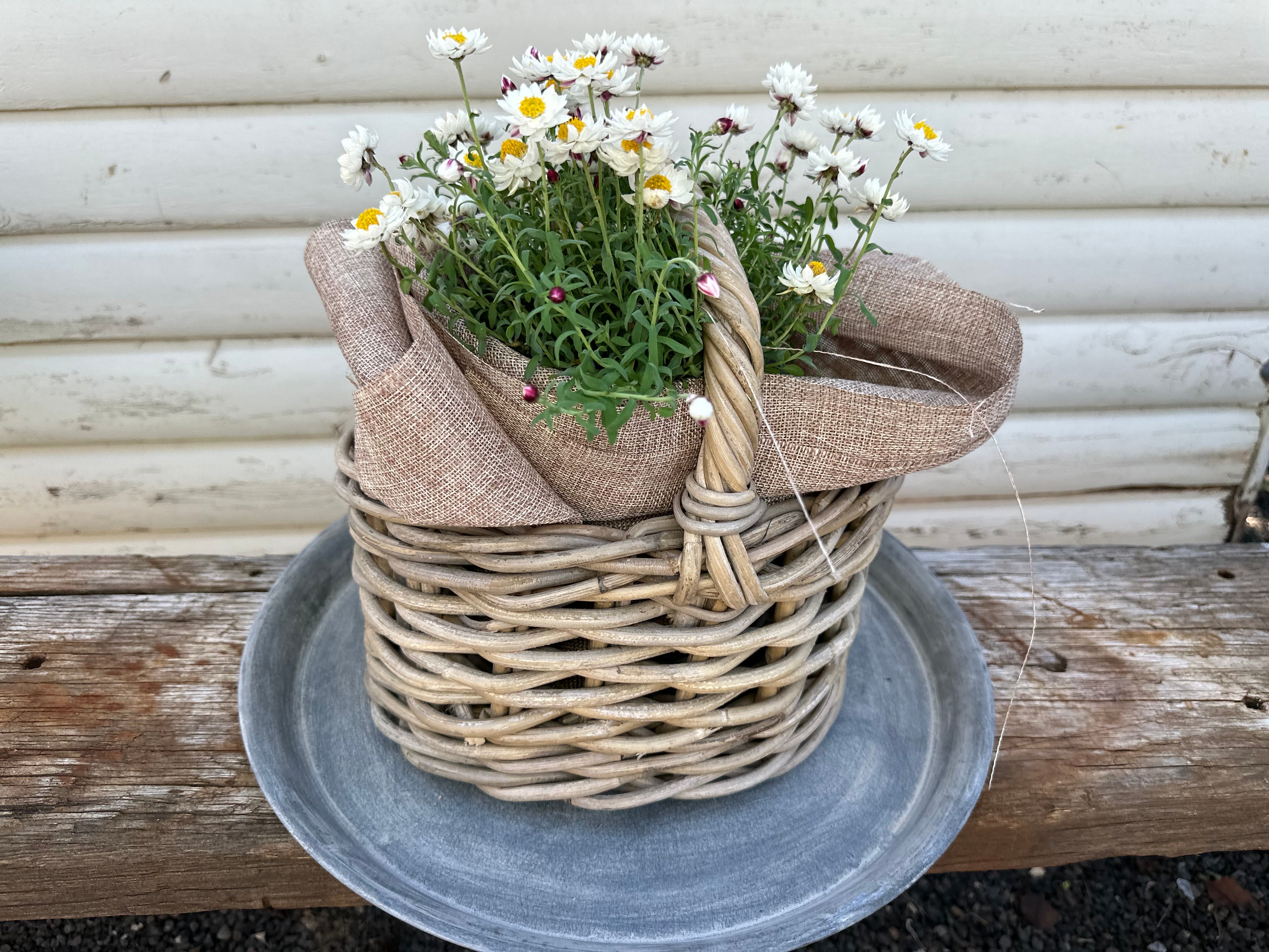 PEGGY Oval Basket