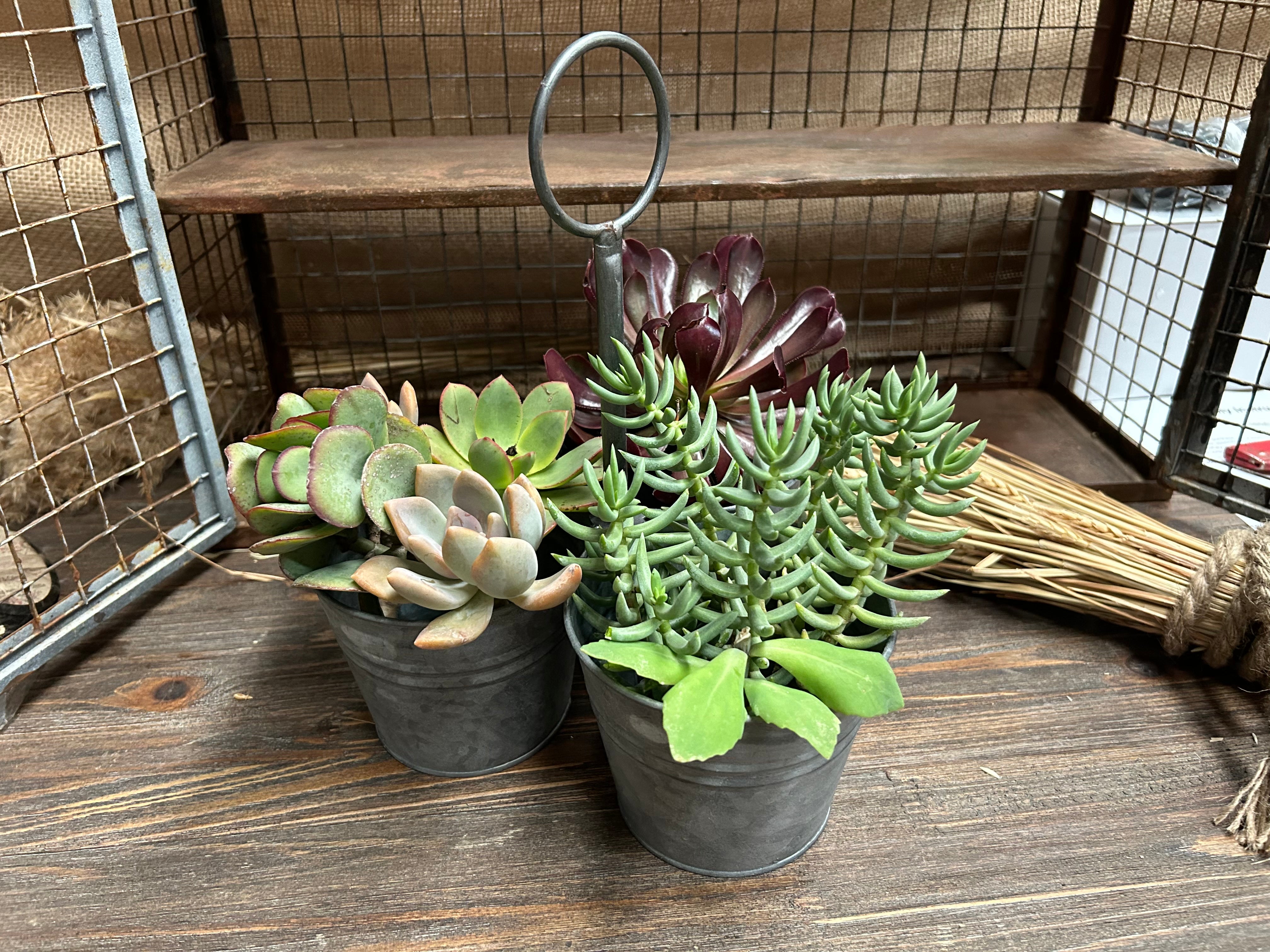 Zinc Holder