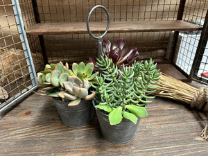 Zinc Holder