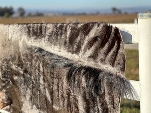 WILDEBEEST Hide RUG