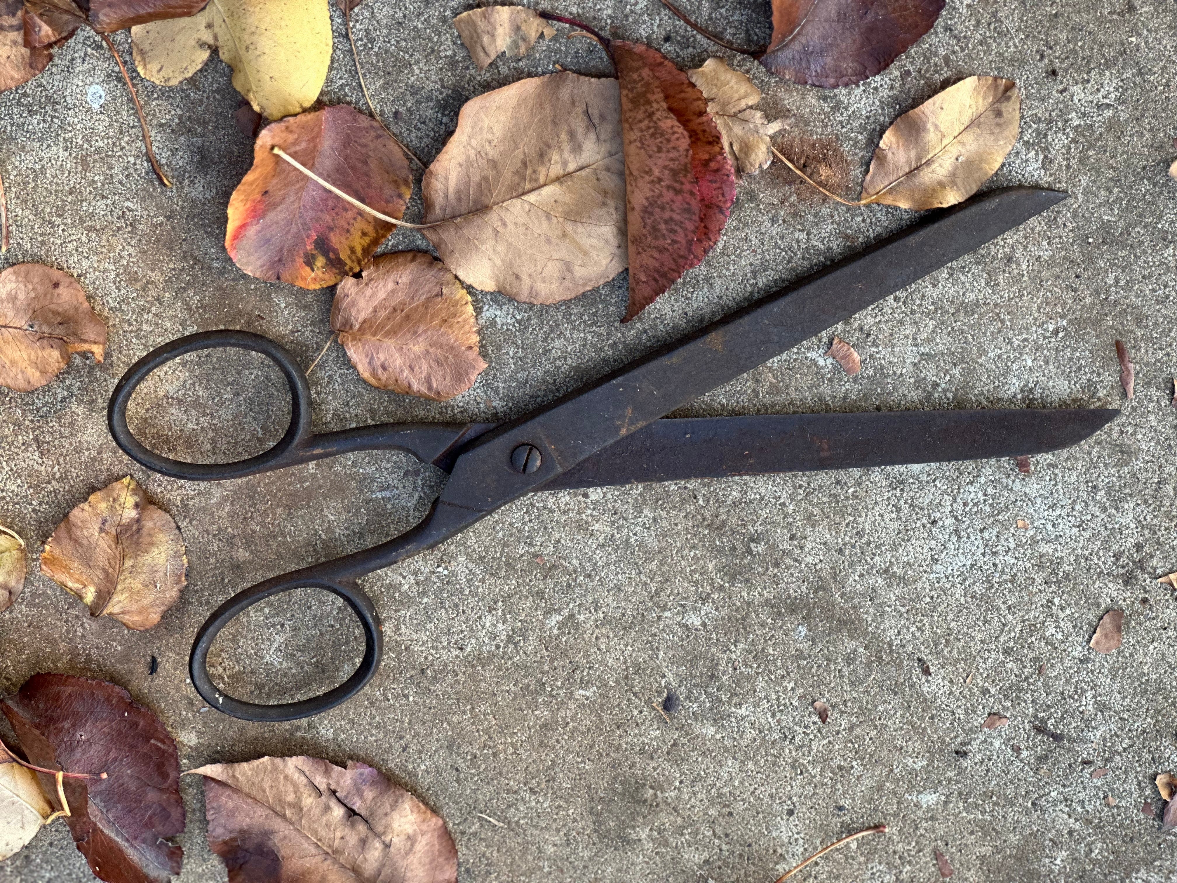 XL Vintage Scissors FREE Postage