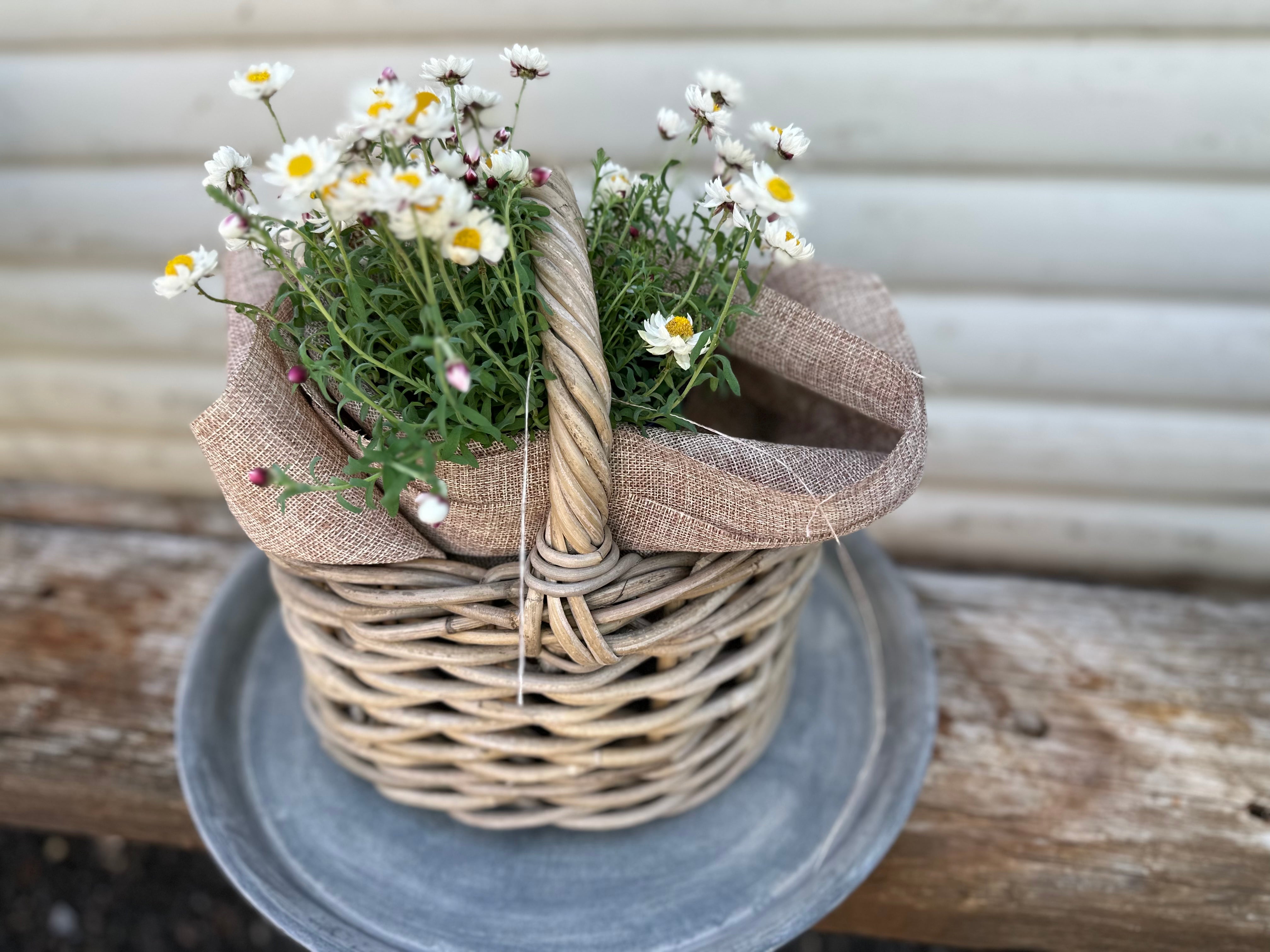PEGGY Oval Basket
