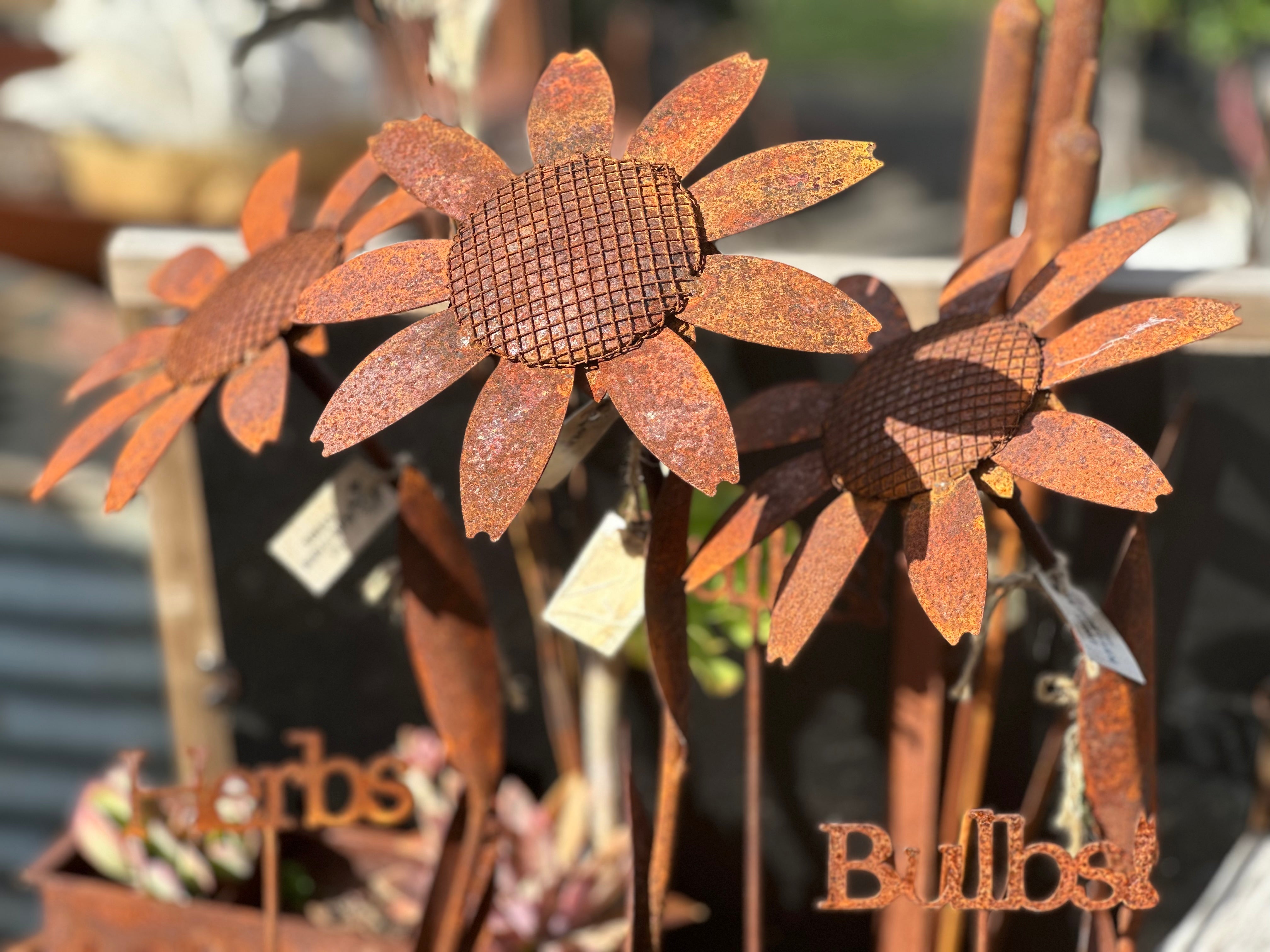 Rusty Daisy 1.2m Stake