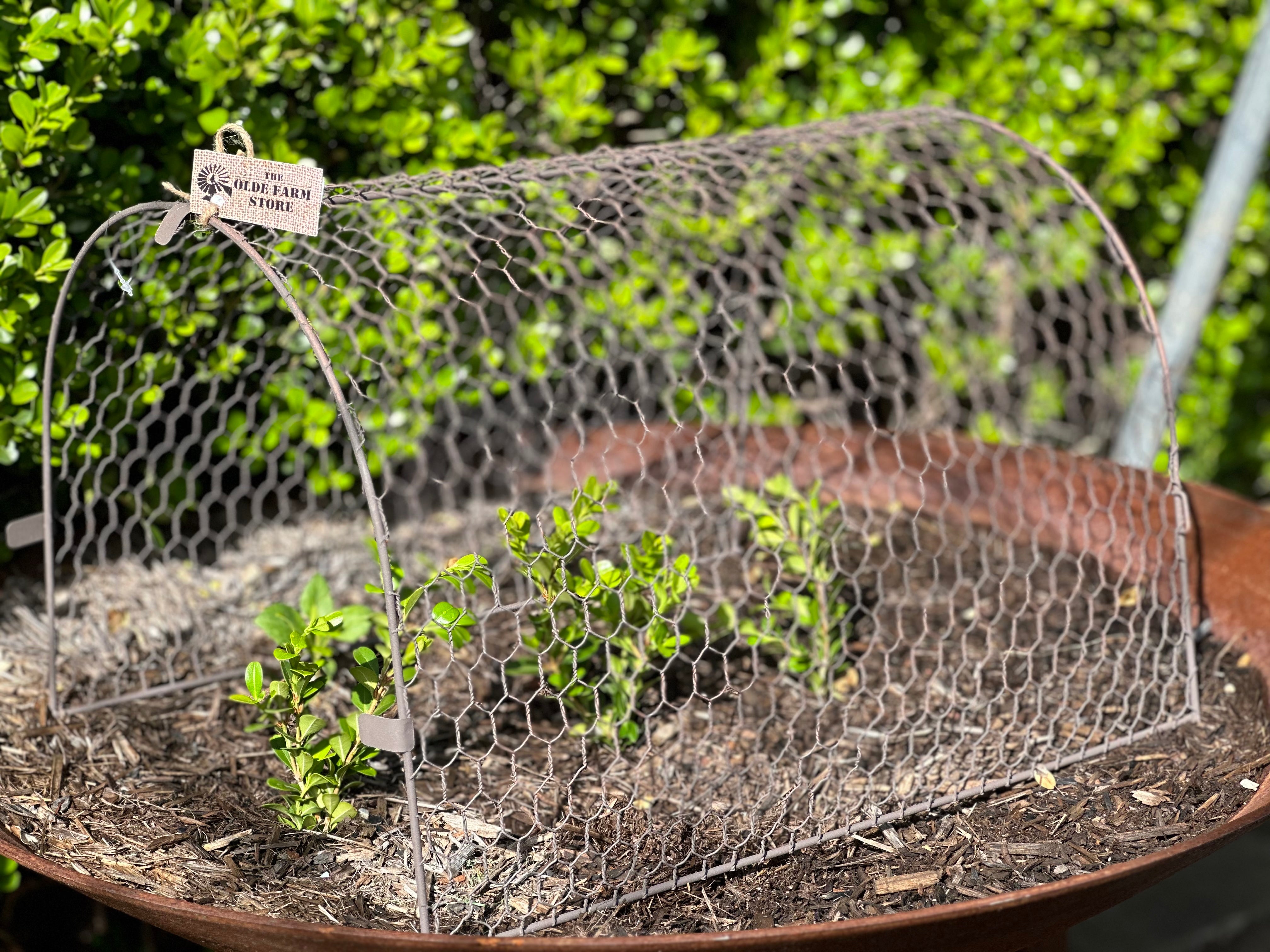 NEW Design Wire TUNNEL Cloche