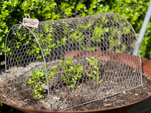 NEW Design Wire TUNNEL Cloche