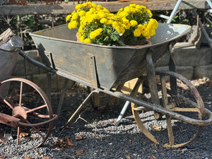 Vintage Wheel Barrow