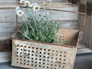 Vintage Grape Basket