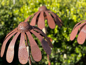 Single Large Rusty UPSY Daisy Stake