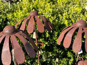 Single Large Rusty UPSY Daisy Stake