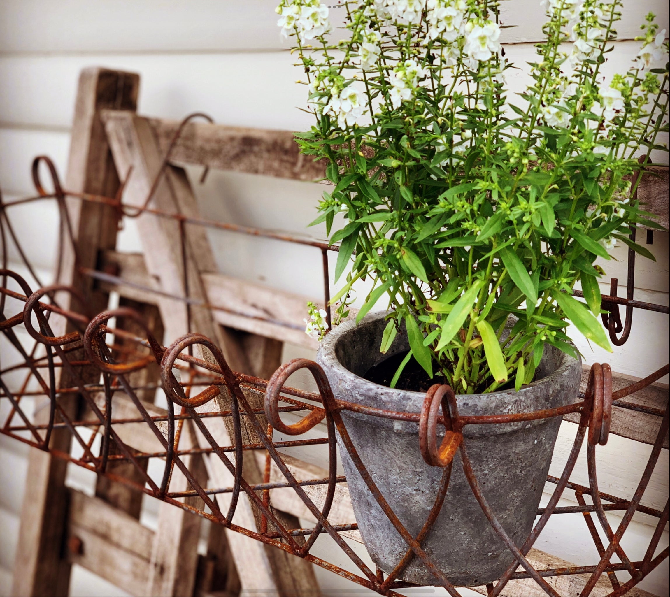 Rusty Window Basket