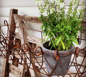 Rusty Window Basket