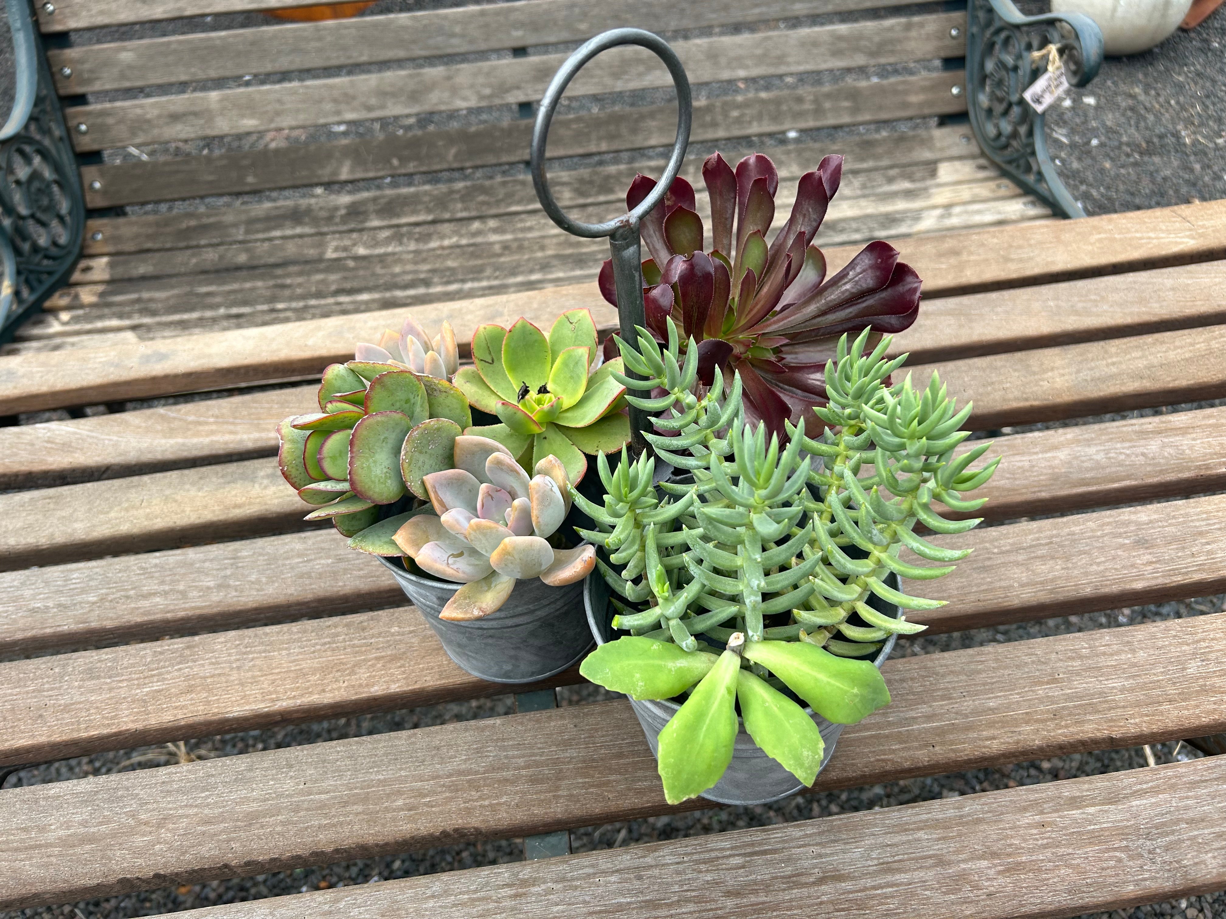 Zinc Holder
