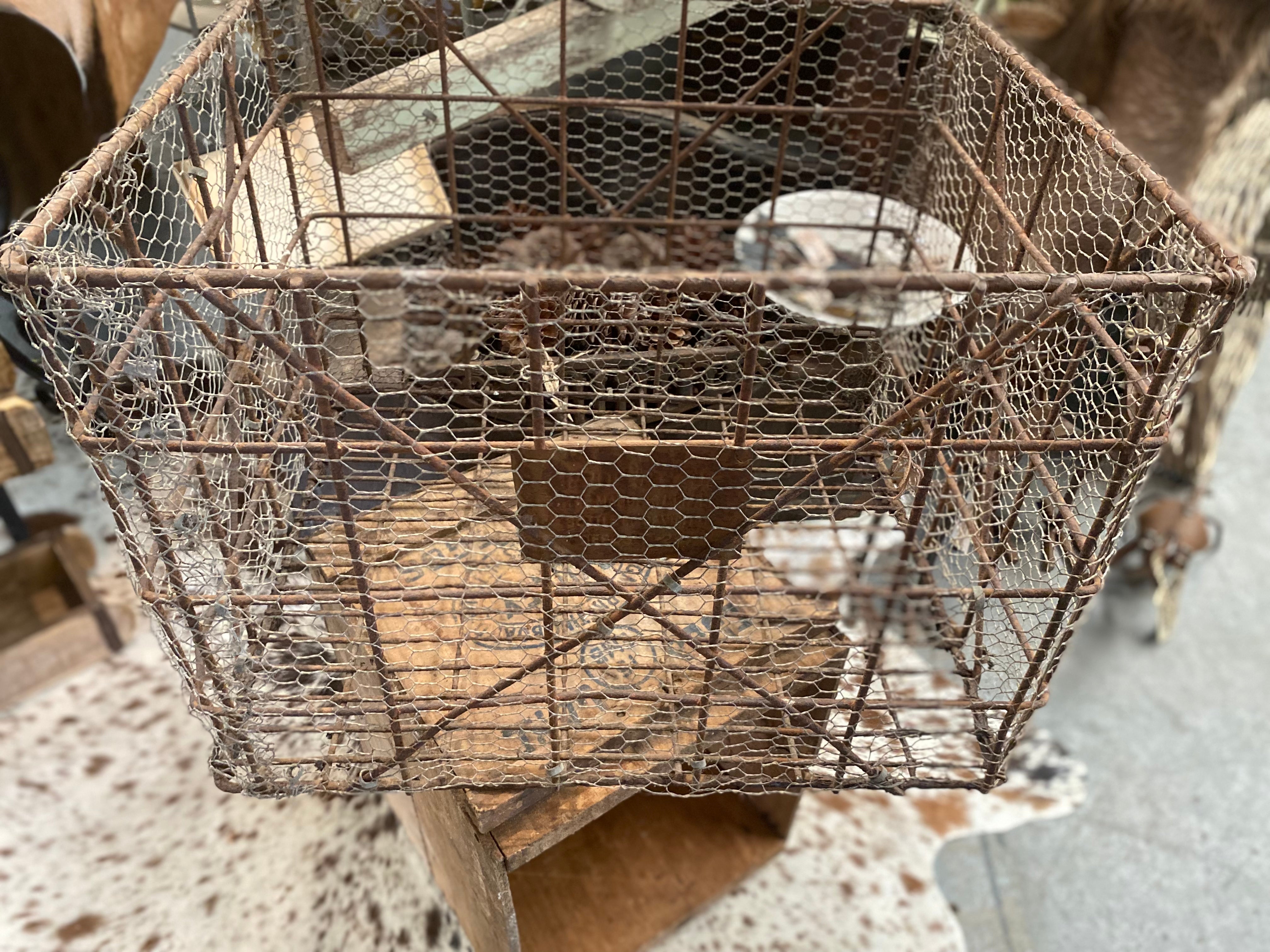 ANTIQUE Wire Cage Crate