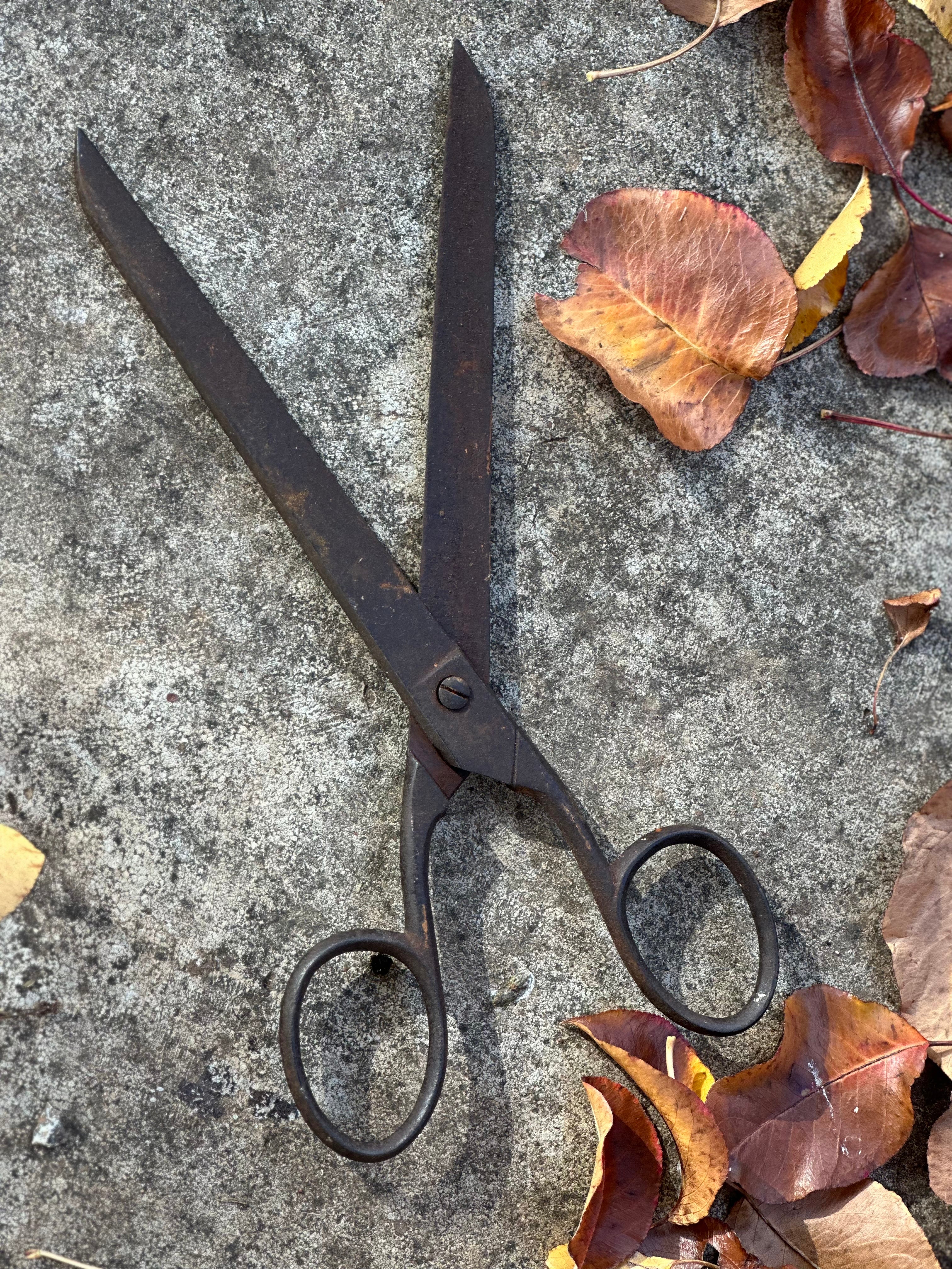 XL Vintage Scissors FREE Postage