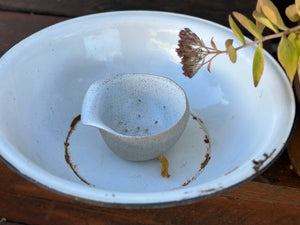 Vintage Enamel Wash Basin XL