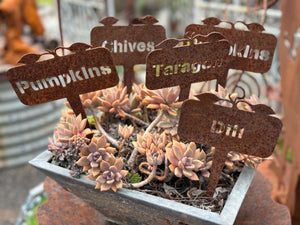 Rusty FENNEL Garden stake
