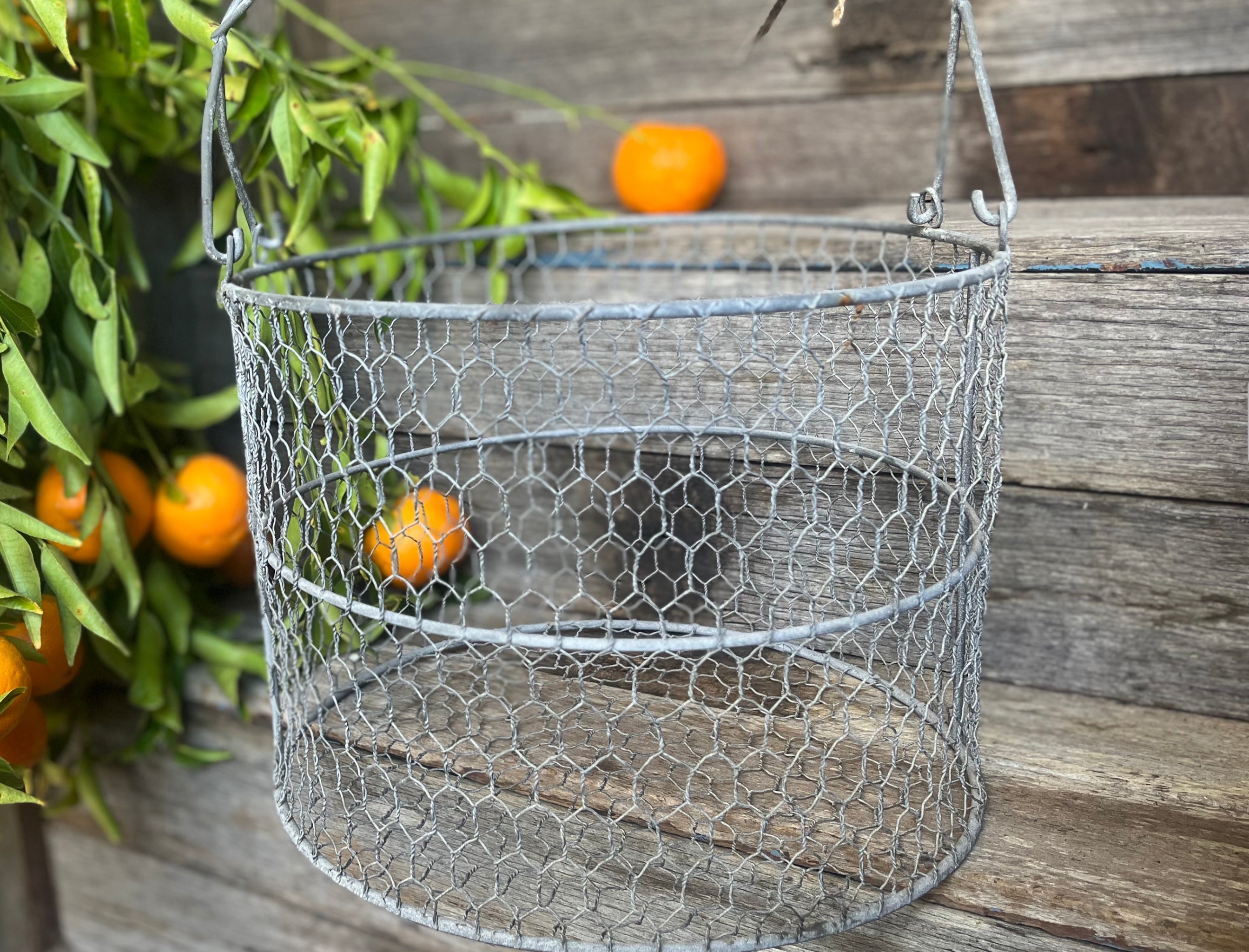 ROUND Wire Harvest / Market  Basket