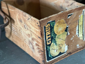 Vintage Citrus Box