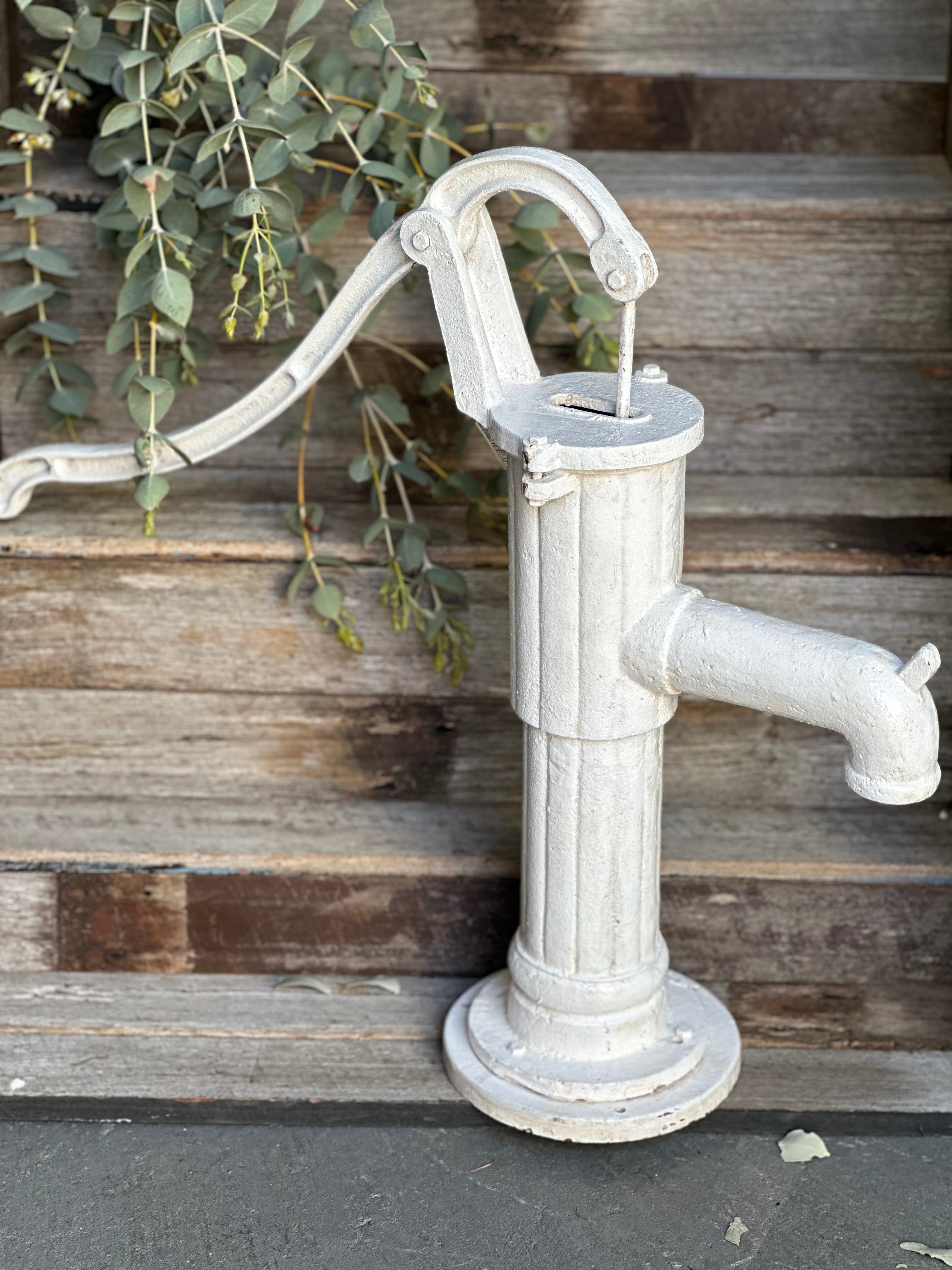 JUMBO Cast Iron Water Pump