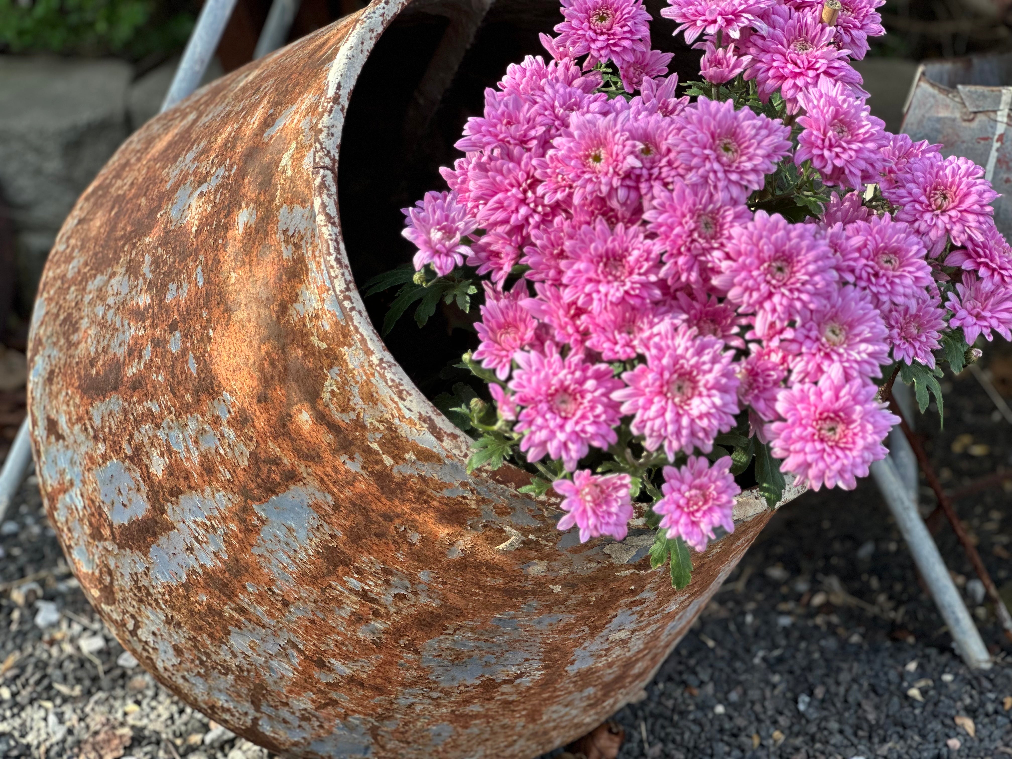 Vintage Cement Mixer BOWL