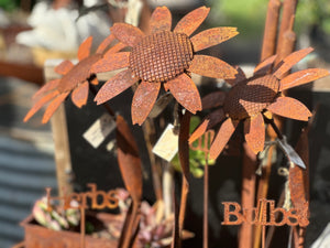Rusty Daisy 1.2m Stake
