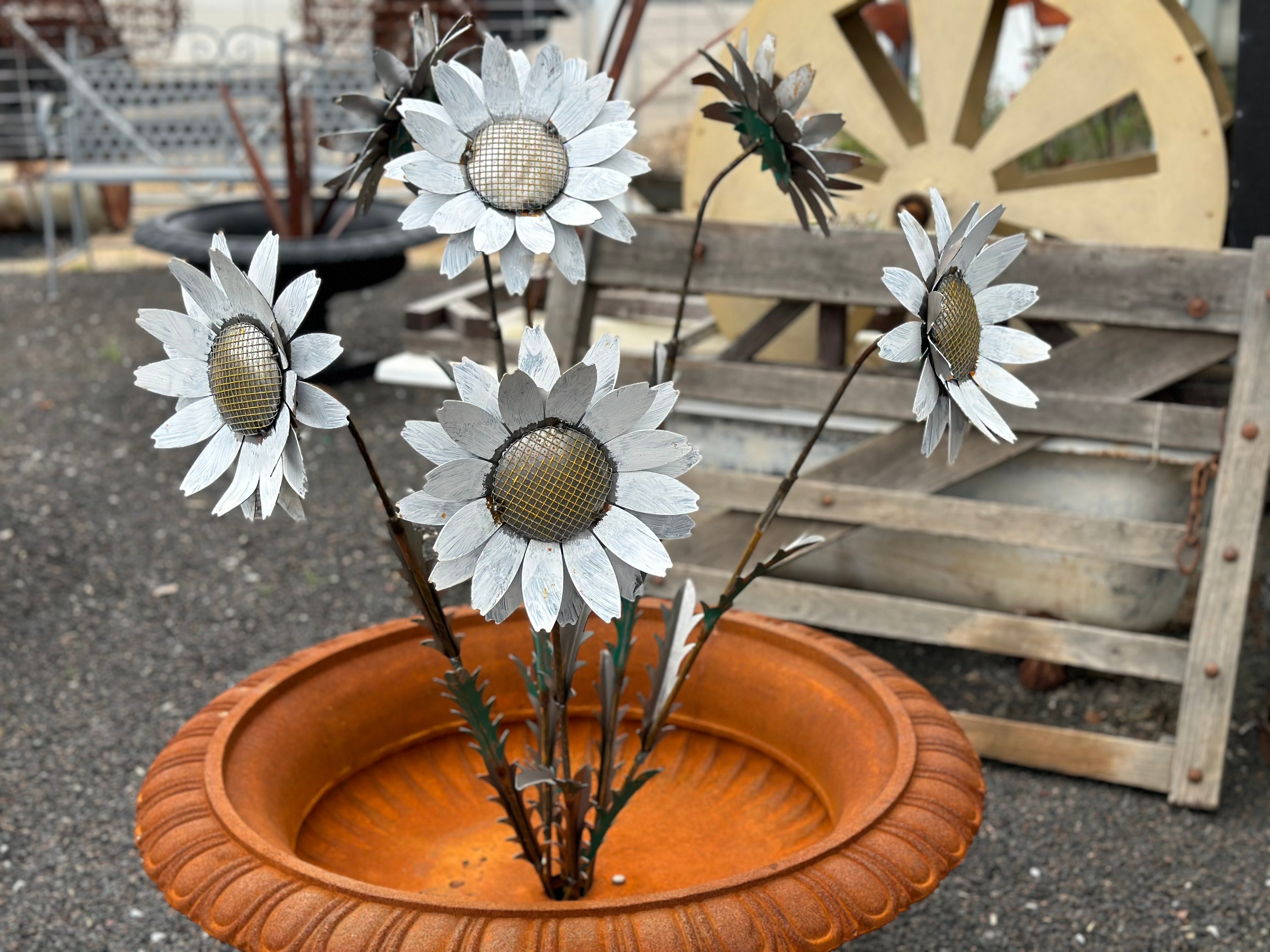 White Daisy Stakes Set of 3