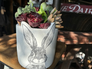 Millie BUNNY Planter Pot