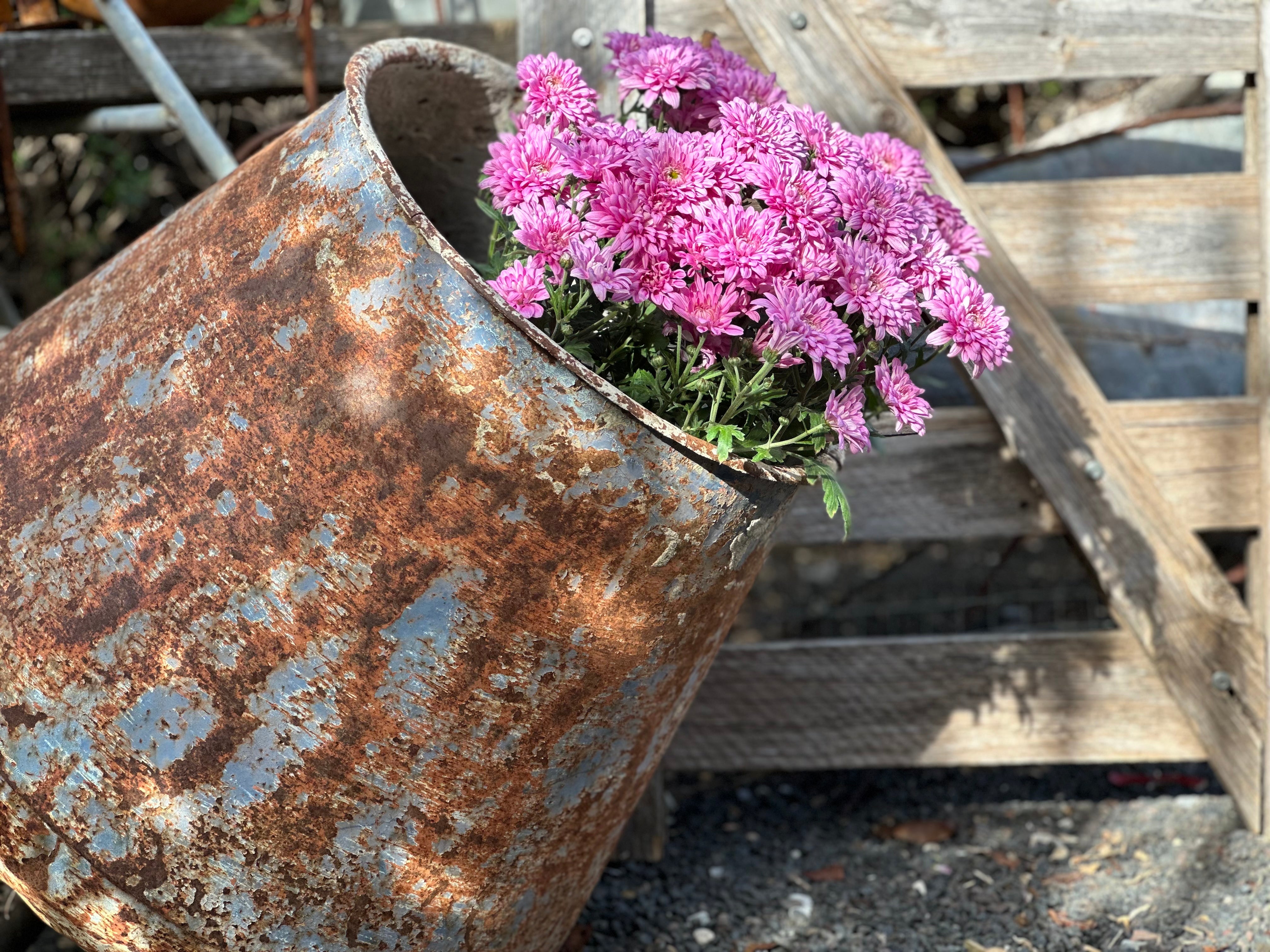 Vintage Cement Mixer BOWL