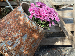 Vintage Cement Mixer BOWL