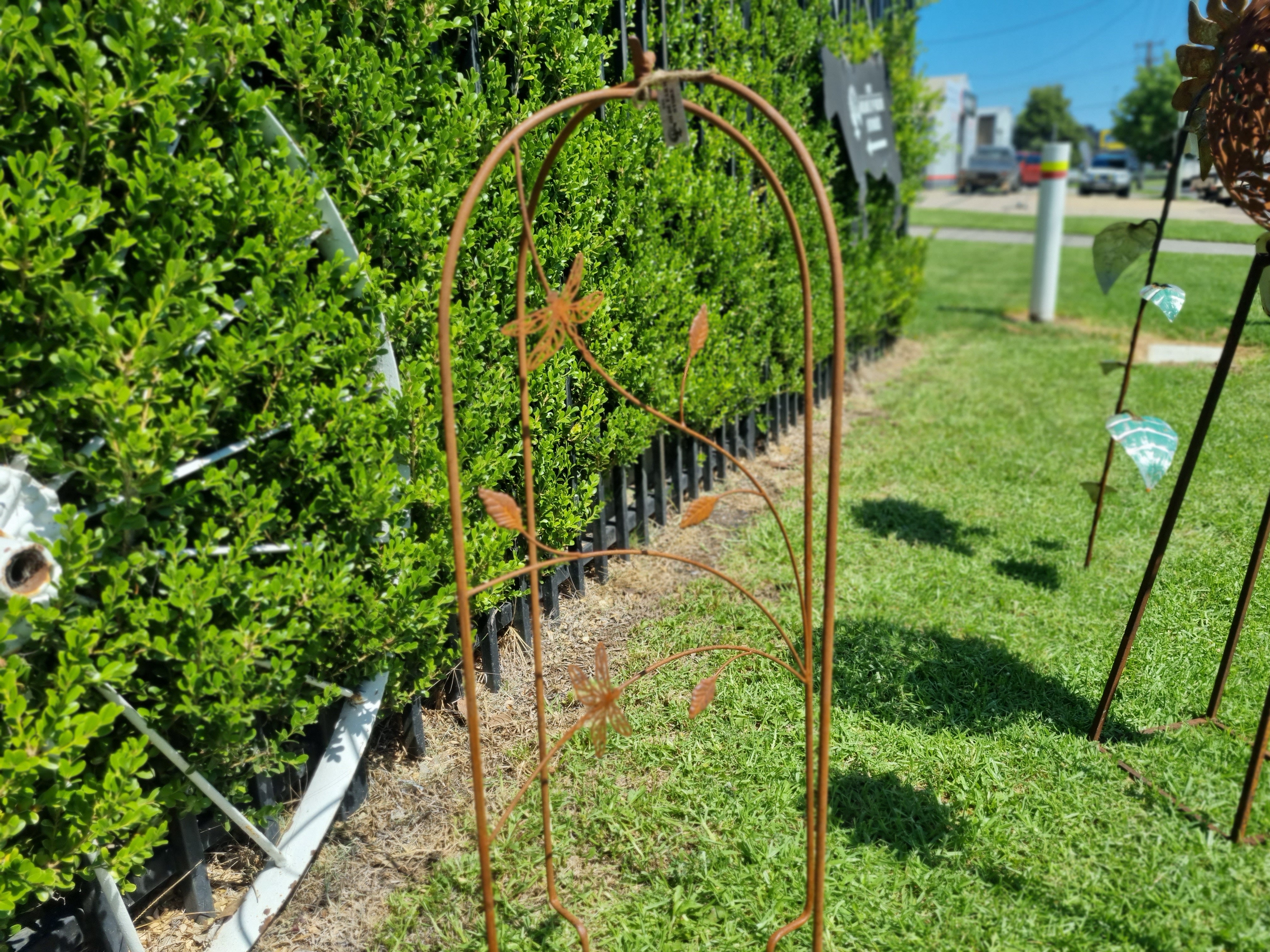 RUST Plant Training Frame