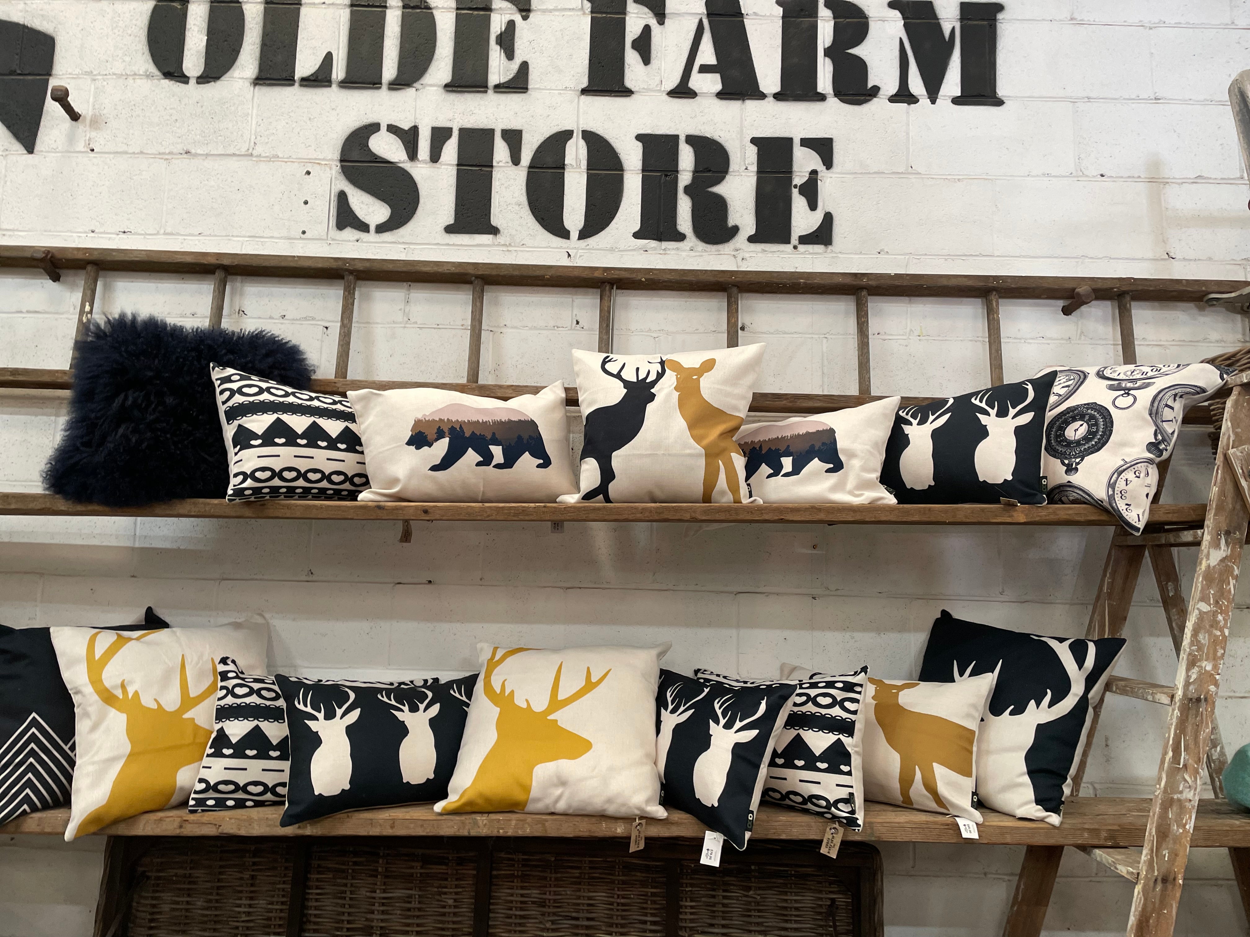 BUCK Mirage Navy Rectangle Cushion