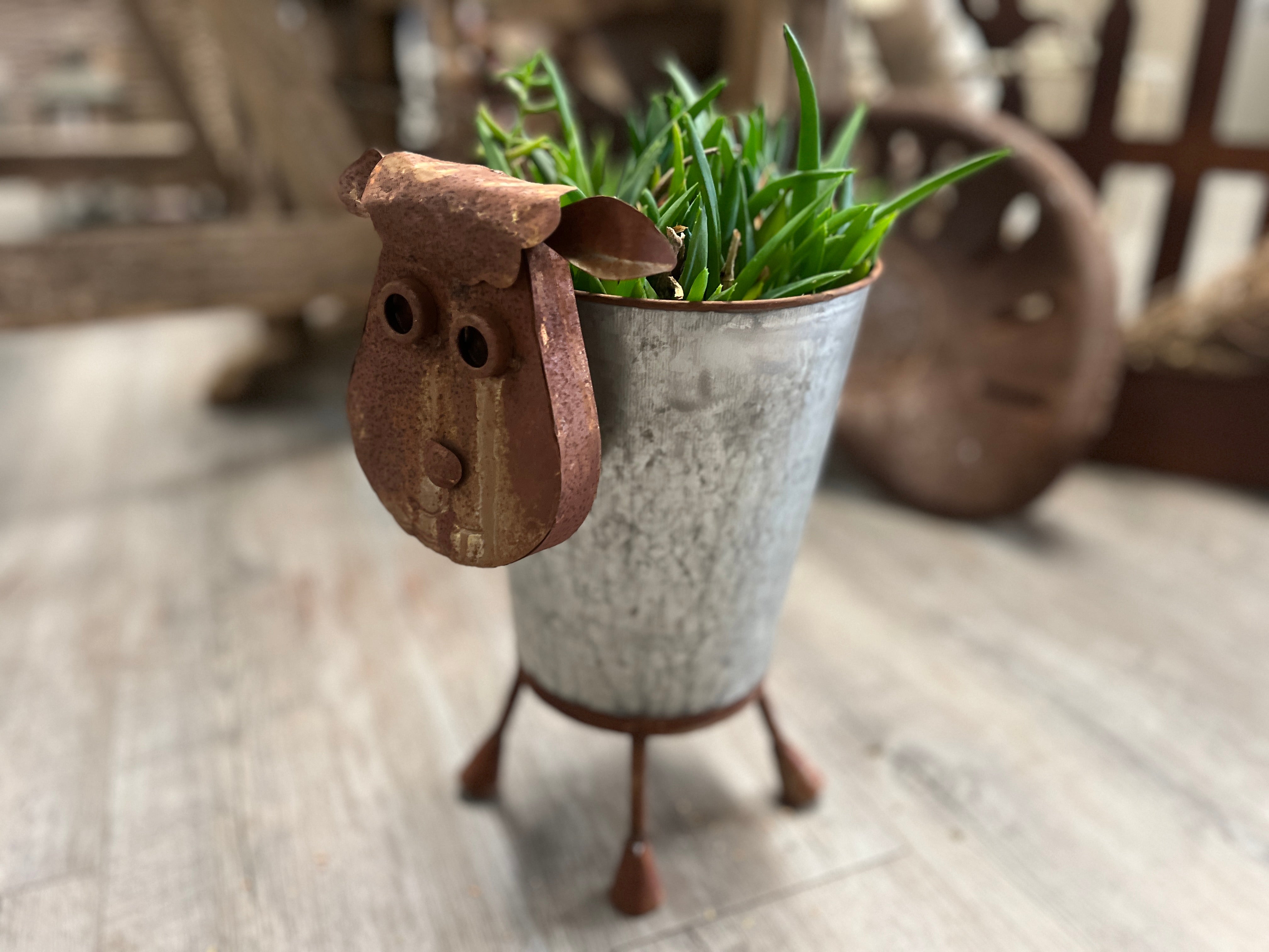 Quirky SHEEP Planter