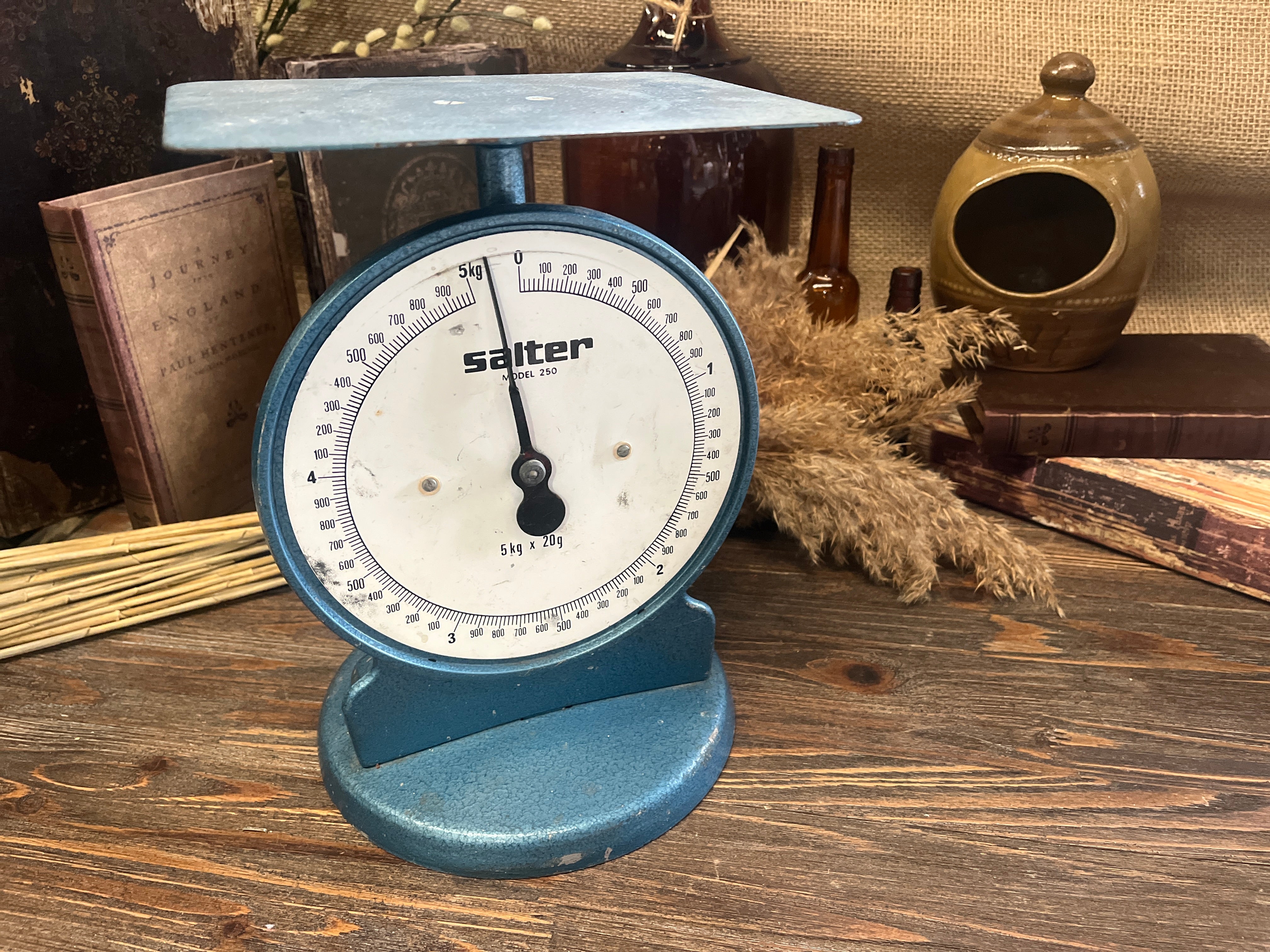 Antique Blue SALTER Kitchen Scales