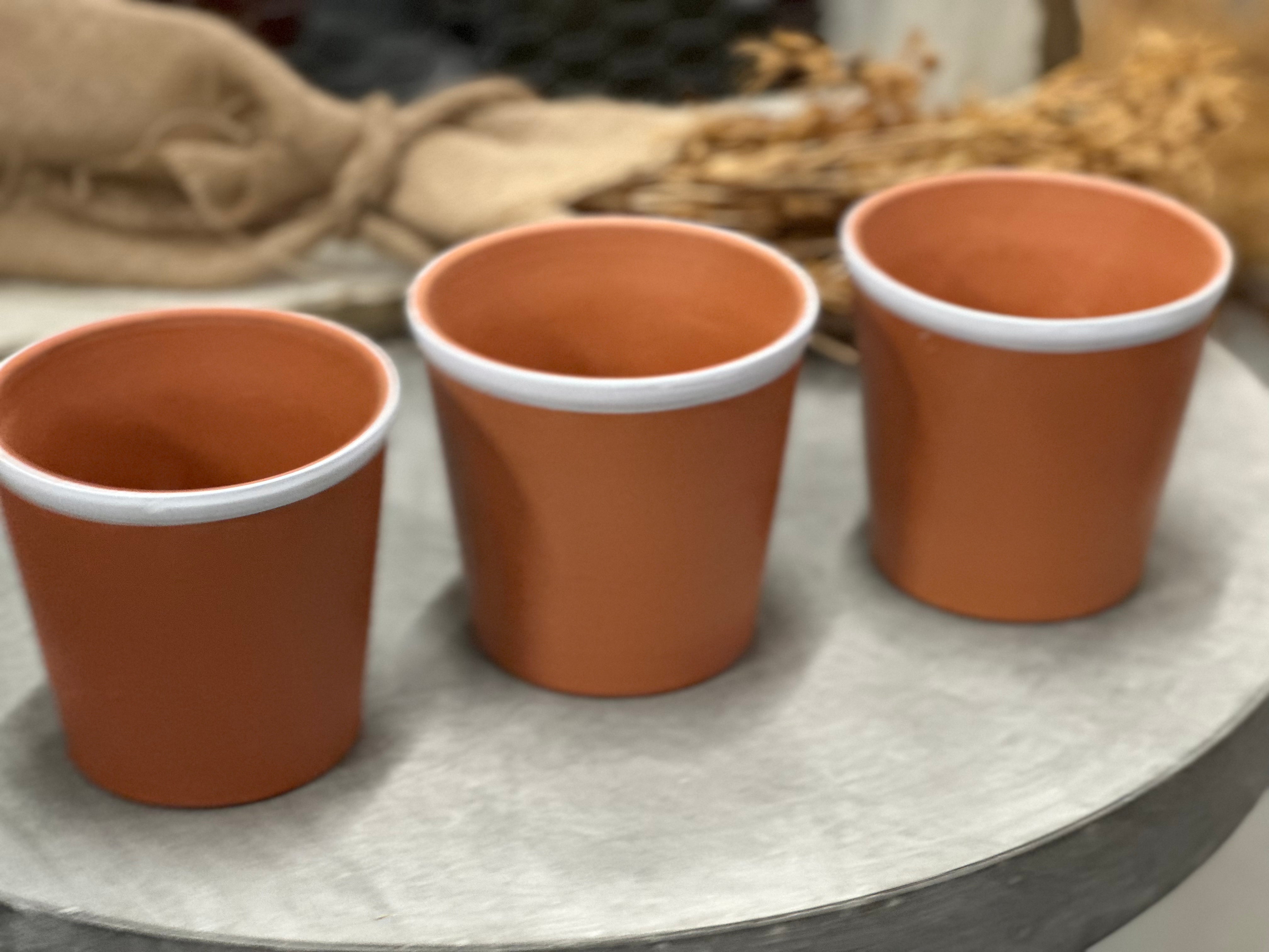 Set of 3 Terra POTS White RIM