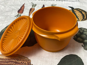 Vintage Tupperware Storage