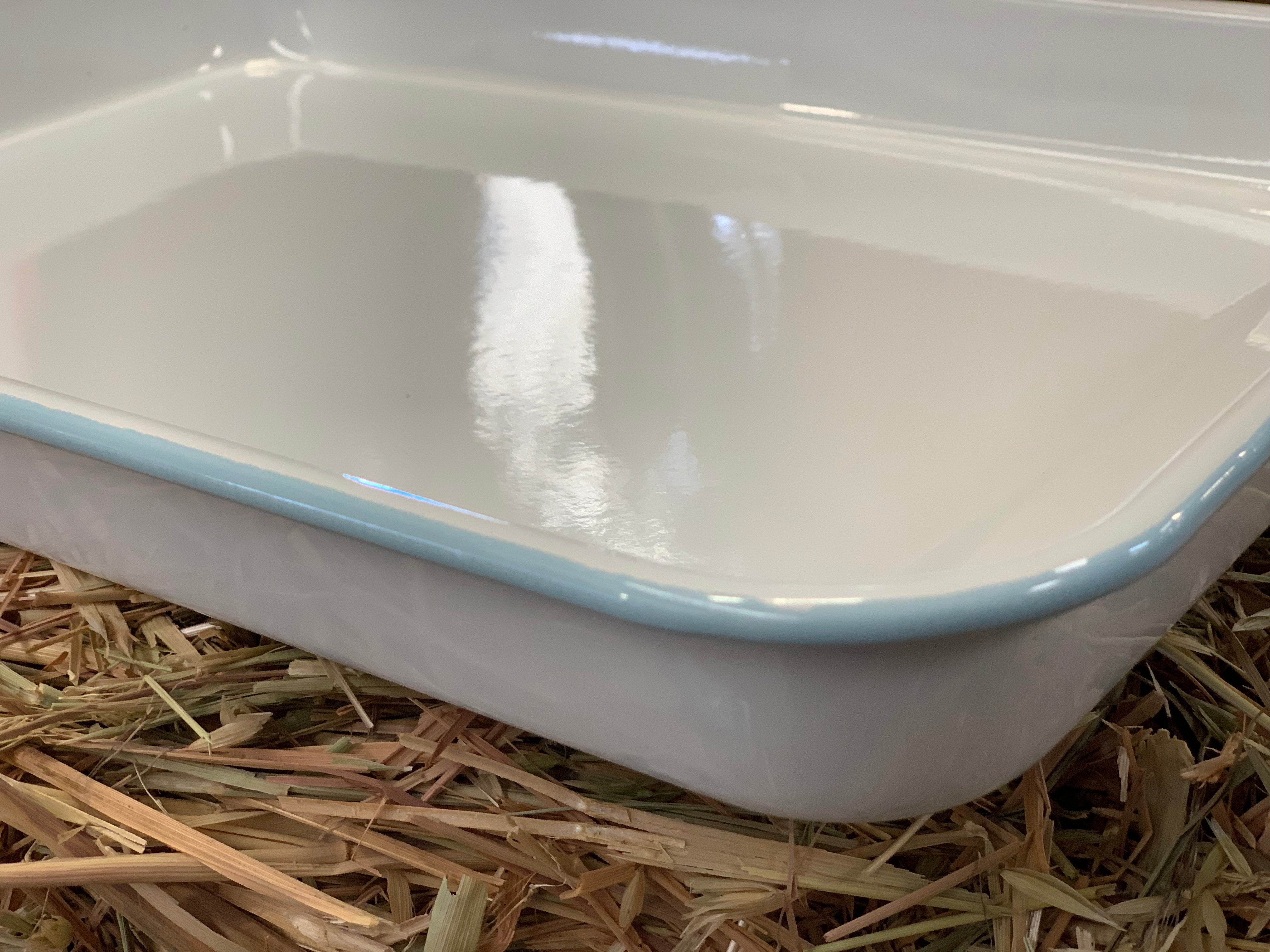 Enamel Duck Egg Blue Trim Tray