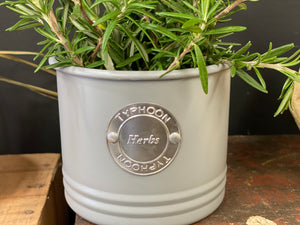 Vanilla Cream Typhoon HERBS Tin