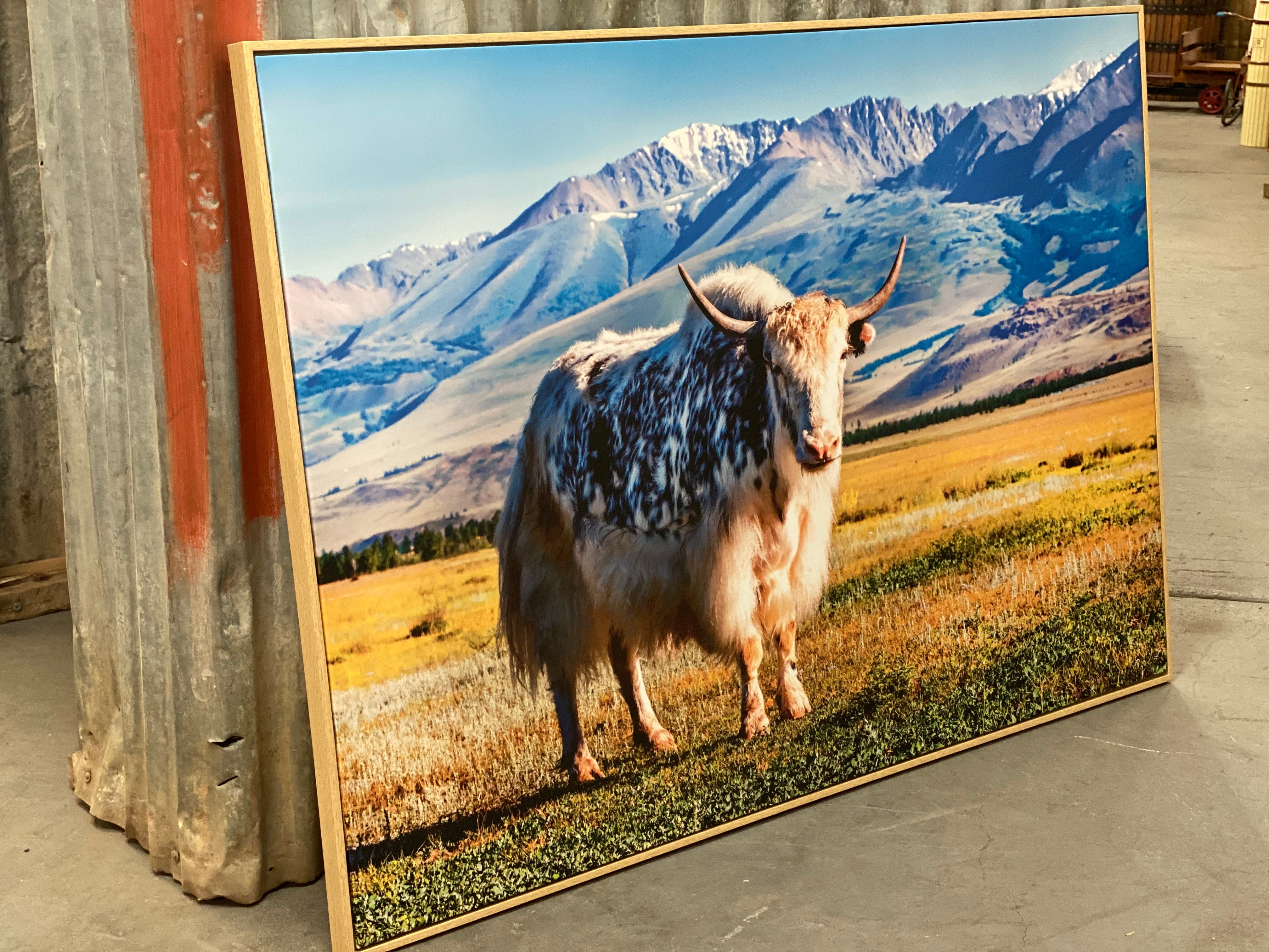 The XL Framed CHIP Canvas