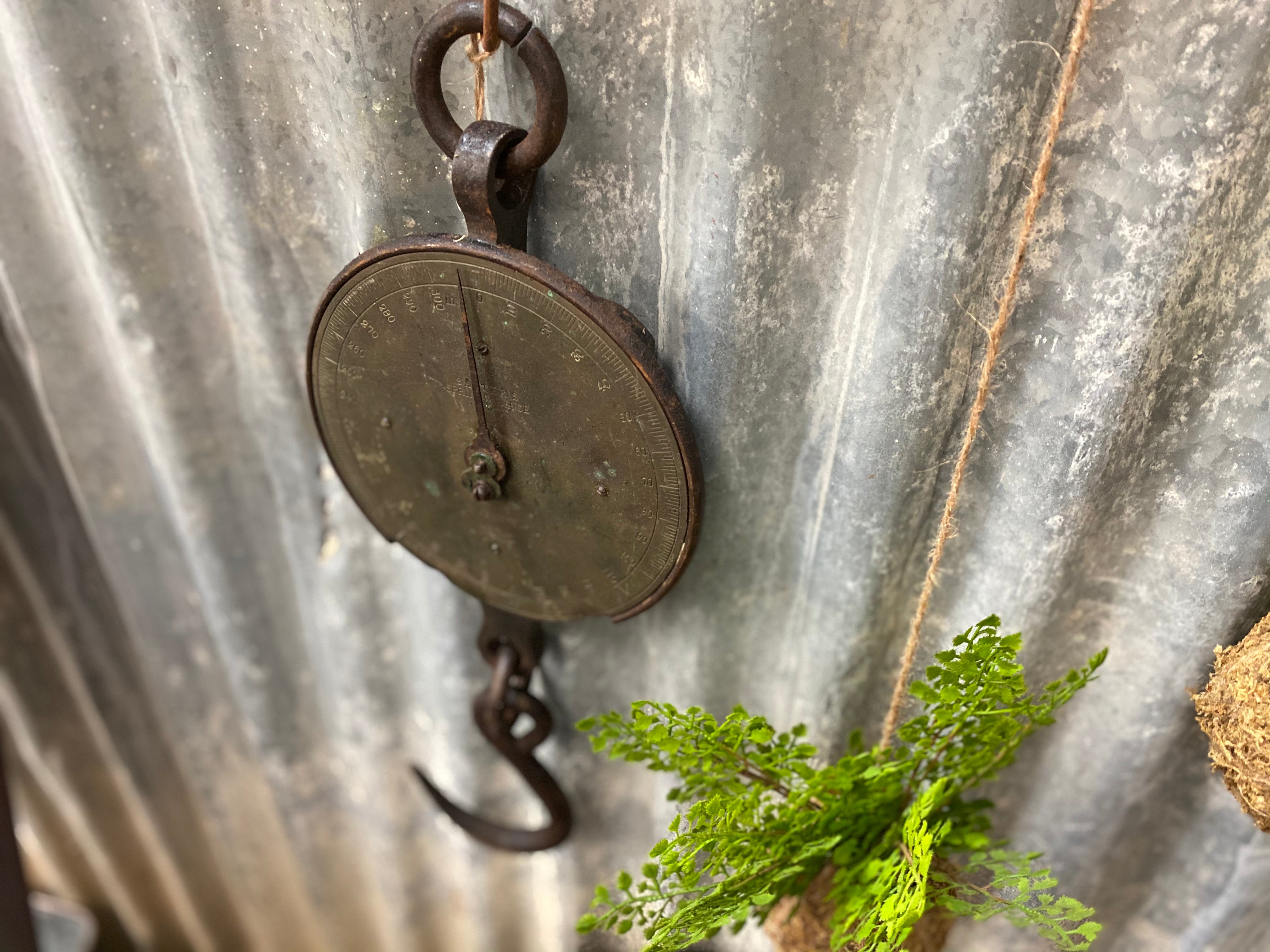 XL Vintage Salter Hanging Scale