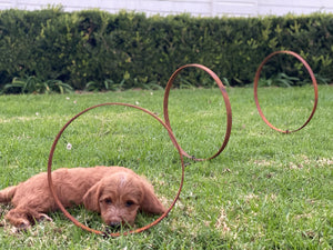 RUST Garden Rings SET of 3 Stakes